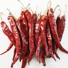 Free Sample Top Quality  Dehydrated Chilli Whole